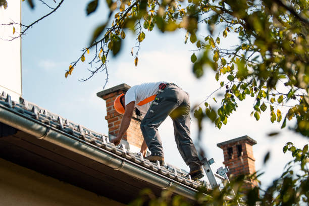 Best Roof Leak Repair  in Rice Lake, WI