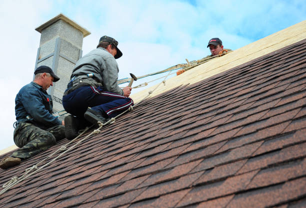 Best Storm Damage Roof Repair  in Rice Lake, WI